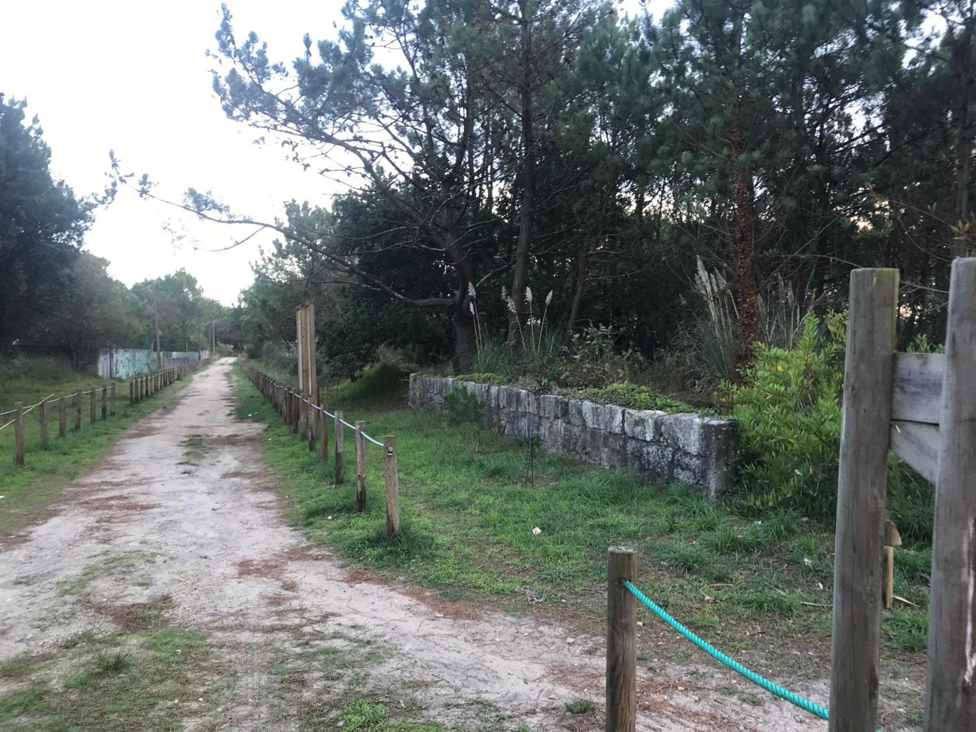 Arvore Cozy Com Jardim Buitenkant foto