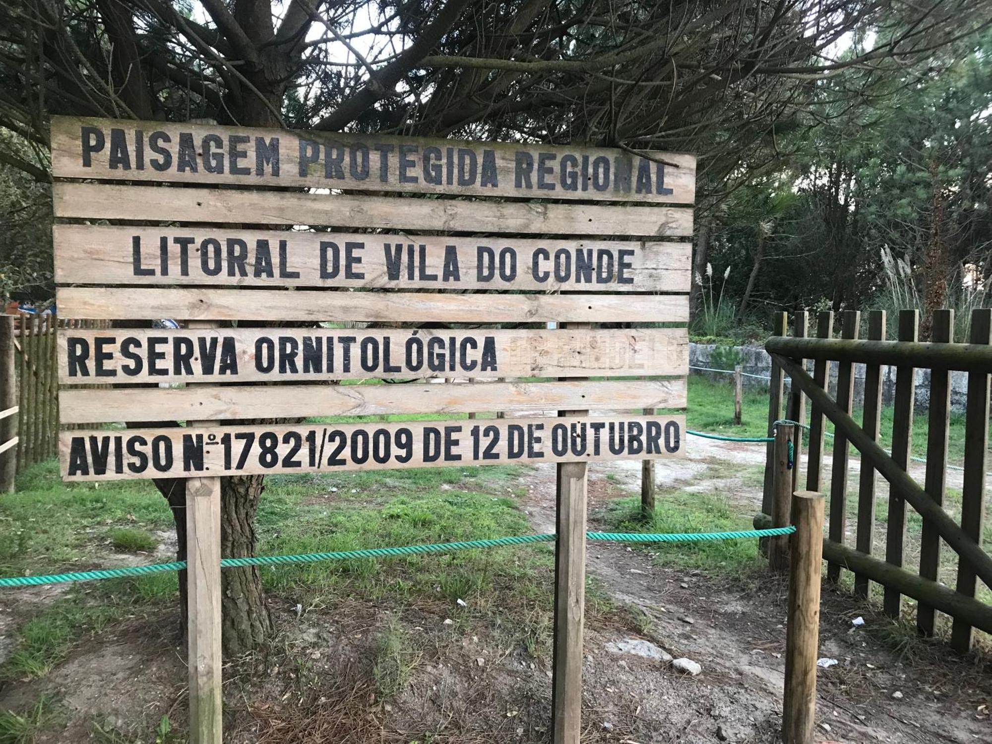 Arvore Cozy Com Jardim Buitenkant foto