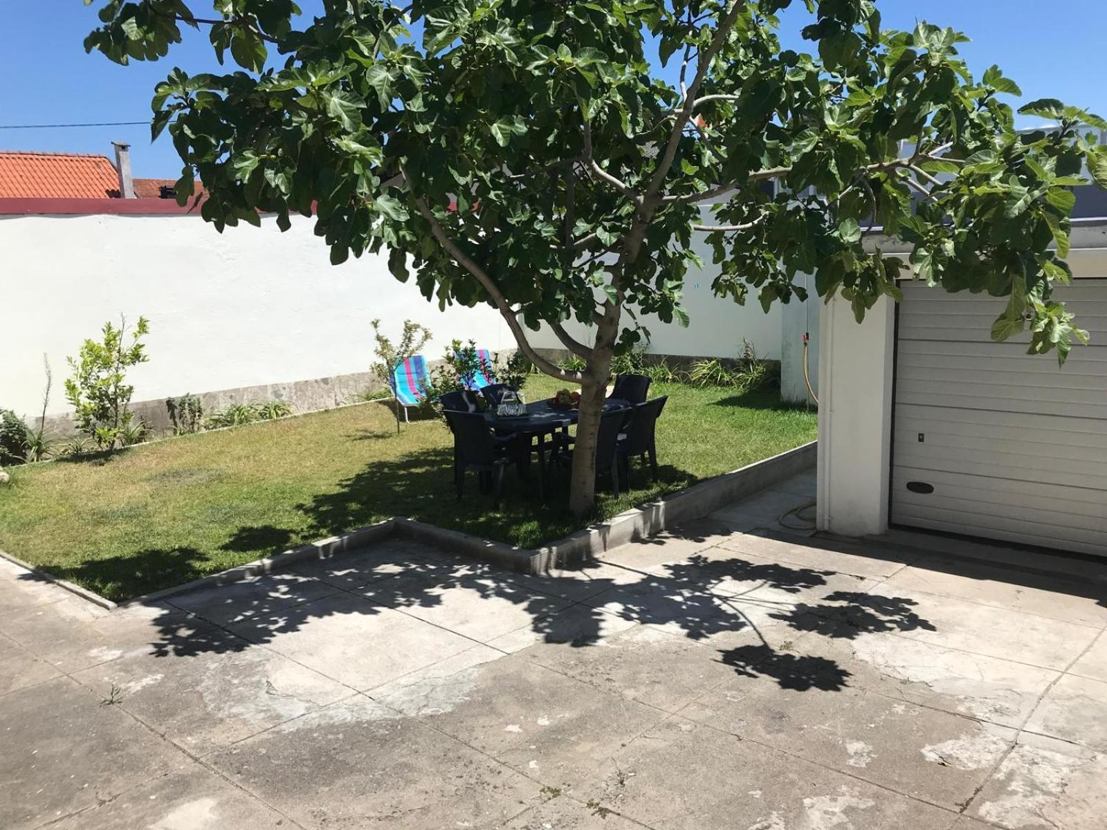 Arvore Cozy Com Jardim Buitenkant foto